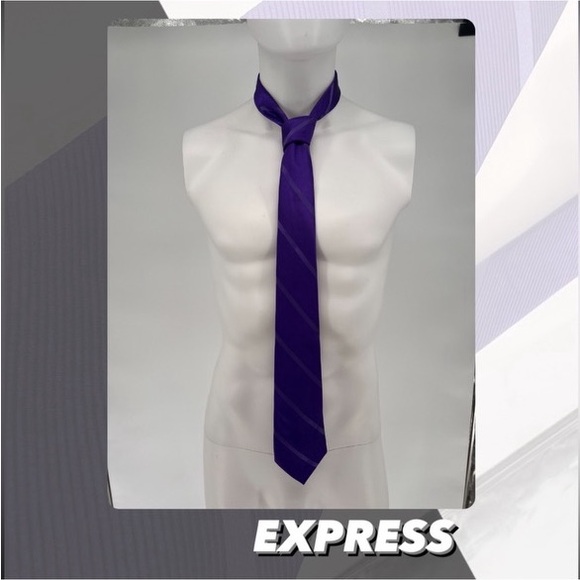 Express Other - EUC Express Diagonal Striped Tie
